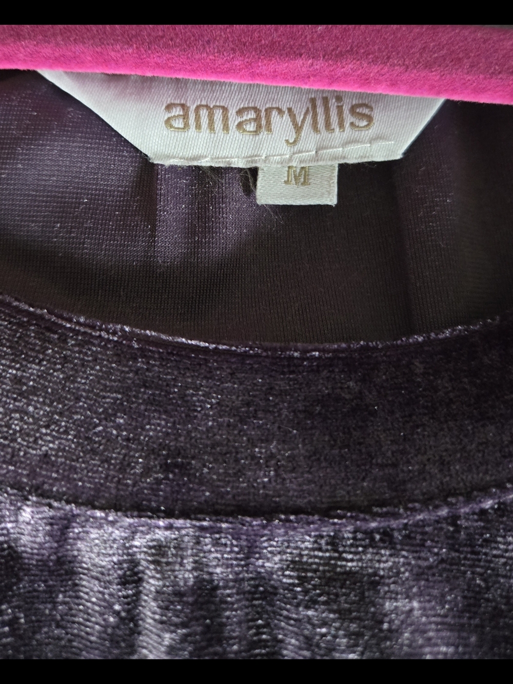 Amaryllis Plush Velvet Top in Purple